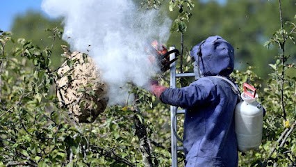 Stop'o frelons et nuisibles, Désinsectiseur et Dératiseur à Muret