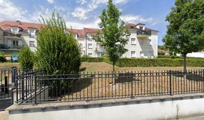 Guêpes-Apens, Désinsectiseur et Dératiseur à Villenoy