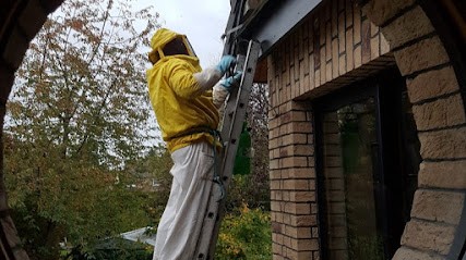 Farineau Jean Pierre, Désinsectiseur et Dératiseur à Jeumont