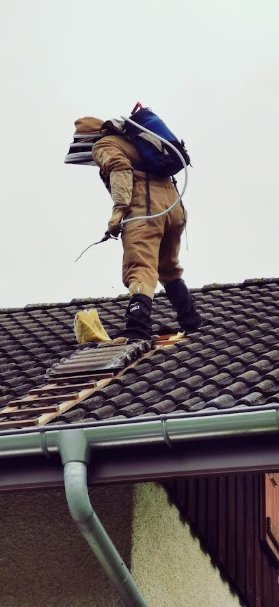 Nuisibles2savoies, Désinsectiseur et Dératiseur à Moye