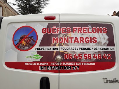 Guêpes Frelons Montargis, Désinsectiseur et Dératiseur à Saint-Maurice-sur-Fessard