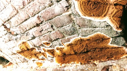 Valmi Bâtiment, Désinsectiseur et Dératiseur à Bondues