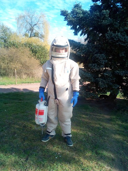 Action Nuisibles 36, Désinsectiseur et Dératiseur à La Vernelle