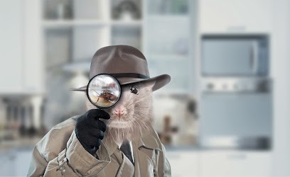 Hygiène 4D, Désinsectiseur et Dératiseur à Vallauris