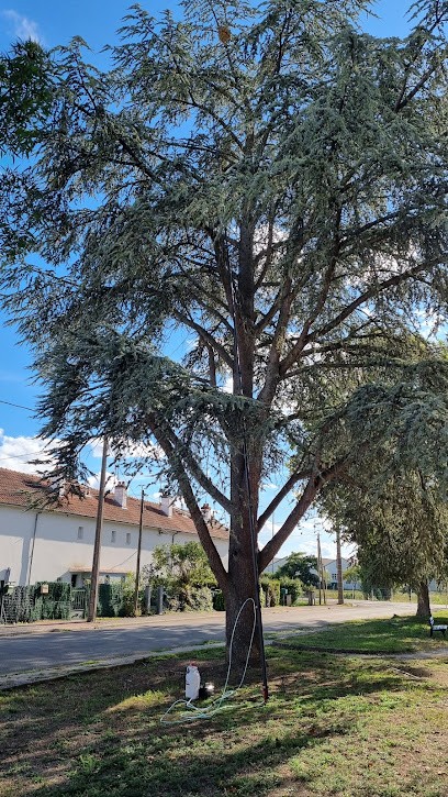 100-DARDS, Désinsectiseur et Dératiseur à Saint-Apollinaire