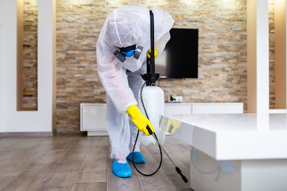 Nuisibles Clean 13 / Pronetclean13 Désinsectiseur - Dératiseur à Marseille 15