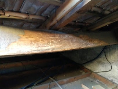 Nouvelle Aquitaine Traitements, Désinsectiseur et Dératiseur à Saint-Geours-de-Maremne