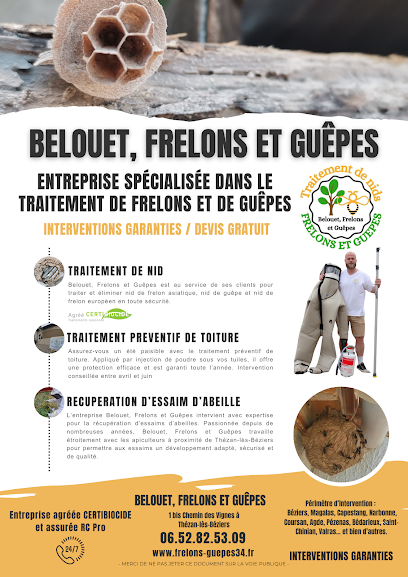 Belouet, Frelons Et Guêpes, Désinsectiseur - Dératiseur à Thézan-lès-Béziers