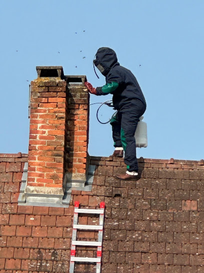 Aube Alerte Guêpes Frelons, Désinsectiseur - Dératiseur à Brévonnes