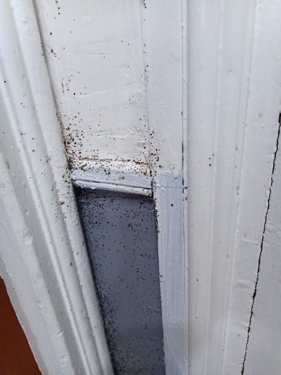 BGN3D, Désinsectiseur et Dératiseur à Écluzelles