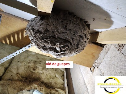 Lithare Quentin, Désinsectiseur et Dératiseur à Échenoz-la-Méline