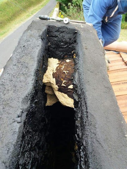 J.R Désinsectisation, Désinsectiseur et Dératiseur à Marsac-en-Livradois