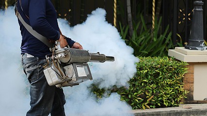 SARL ITB, Désinsectiseur et Dératiseur à Rochefort-du-Gard