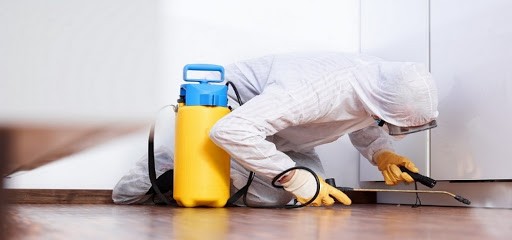 SOS ENVAHISSEURS, Désinsectiseur et Dératiseur à Roquebrune-Cap-Martin