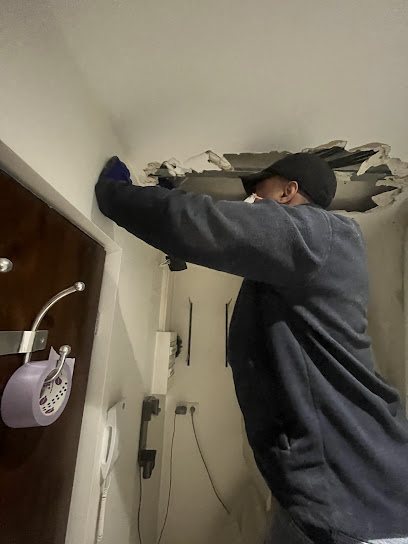 Diene Hygiene Désinsectiseur - Dératiseur à Antony