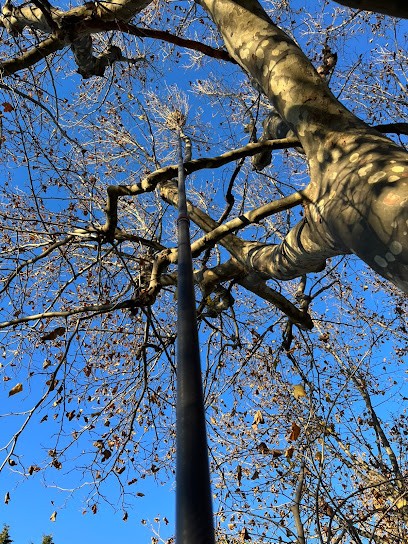 Guêpes-Apens, Destruction Nids De Guêpes, Frelons Et Frelons Asiatiques, Désinsectiseur et Dératiseur à Roquefort-la-Bédoule