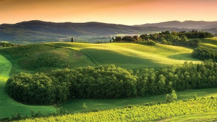EFFITERR, Désinsectiseur et Dératiseur à Alençon