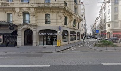 Patrice Mure Cynotechnie Détection De Punaise De Lit, Désinsectiseur et Dératiseur à Lyon 06