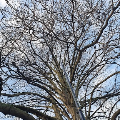 La Patrouille Anti Nuisible, Désinsectiseur et Dératiseur à Houdan