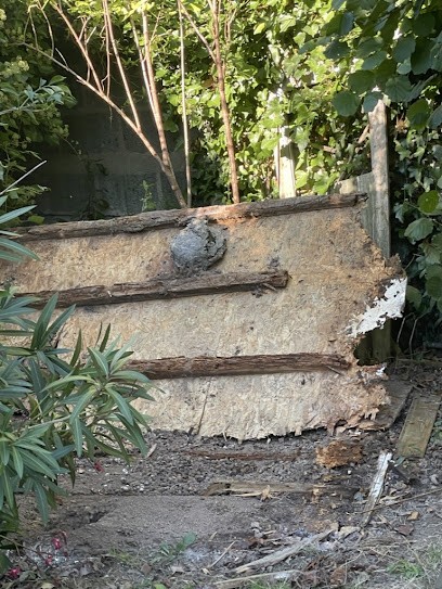 EliteGuêpe 85, Désinsectiseur et Dératiseur à Saint-Gilles-Croix-de-Vie