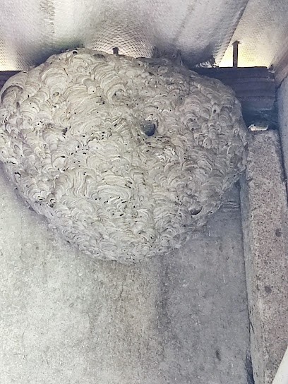 InsectePRO, Désinsectiseur et Dératiseur à Louviers