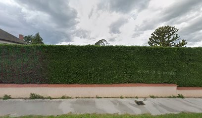 Stop 0 Nuisible, Désinsectiseur et Dératiseur à Reyssouze