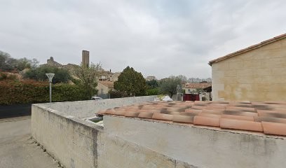 CDS PRO NET - SOS Guêpes Frelons 7/7j - Désinsectisation / Dératisation - Prestation Garantie, Désinsectiseur et Dératiseur à Aubussargues