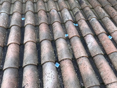 Leon L'exterminateur, Désinsectiseur et Dératiseur à Uzès