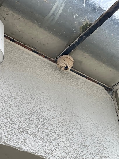 COLIN, Désinsectiseur et Dératiseur à Sarcelles