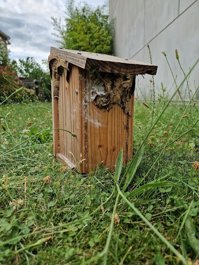 Nuisibles des 3 Vallées, Désinsectiseur et Dératiseur à Breuillet