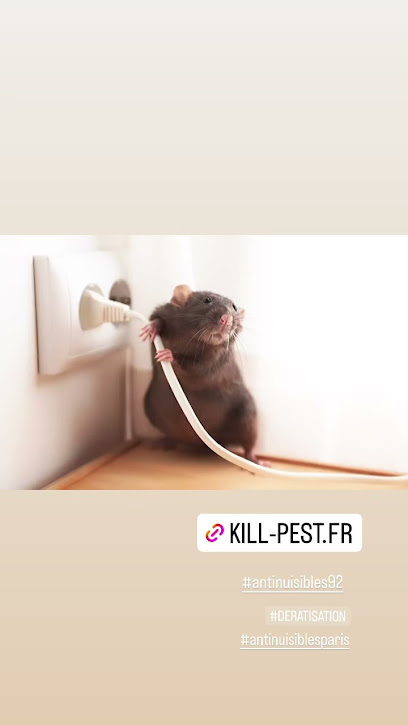 Kill Pest | Intervention Rapide Nuisibles 92 : Punaises, Rats, Guêpes, Frelons Désinsectiseur - Dératiseur à Courbevoie