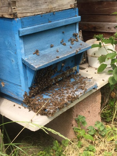 Sd2k Nuisibles, Désinsectiseur et Dératiseur à Moncel-lès-Lunéville