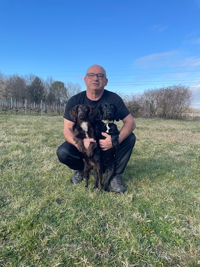 CYNODETECT BORDEAUX, Désinsectiseur et Dératiseur à Saint-Vivien-de-Blaye