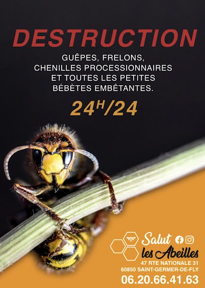 Salut Les Abeilles, Désinsectiseur et Dératiseur à Saint-Germer-de-Fly