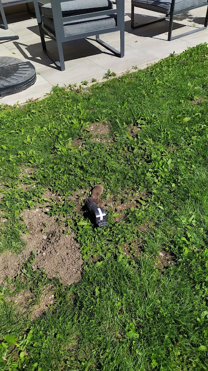 Arvi Pâ Nuisibles, Désinsectiseur et Dératiseur à Rumilly