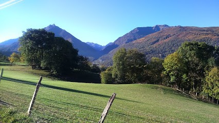 Rapaces effarouchement, Désinsectiseur et Dératiseur à Préchac