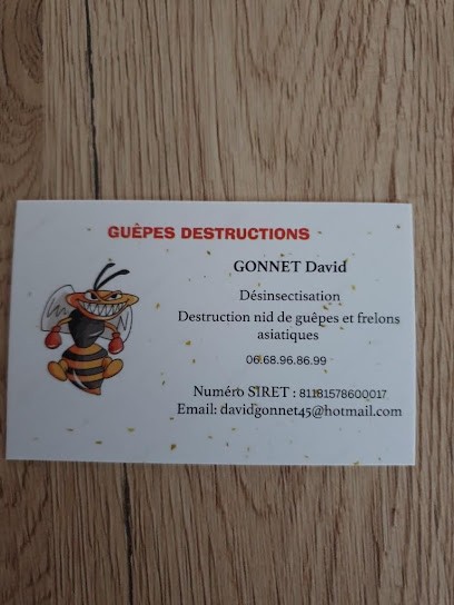 Nuisibles destructions 45, Désinsectiseur et Dératiseur à Baule