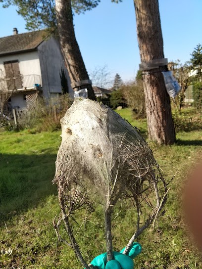 Jacquelin-Vray, Désinsectiseur et Dératiseur à Cossaye