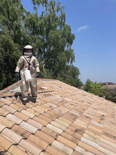 Sos Guêpes Frelons Rhône Alpes Désinsectiseur - Dératiseur à Serpaize