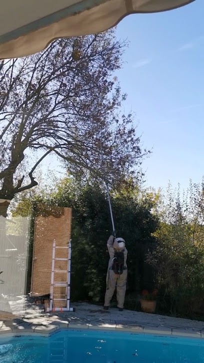 SCJ GUEPES FRELONS Destructions Nids De Guêpes Et Frelons, Désinsectiseur et Dératiseur à Souvignargues