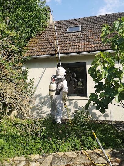Dardagnan : Frelons Guêpes Abeilles - 28 Désinsectisation, Désinsectiseur - Dératiseur à Luisant
