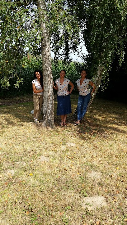 Larrouy Hervé, Désinsectiseur et Dératiseur à Mimbaste