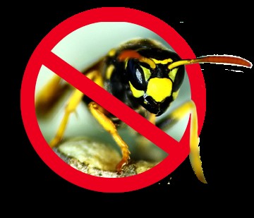 G.D.I Gallot Destruction d'Insectes, Désinsectiseur et Dératiseur à Saint-Eulien