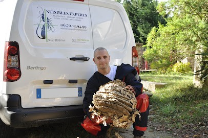 Nuisibles Experts, Désinsectiseur et Dératiseur à Trédion