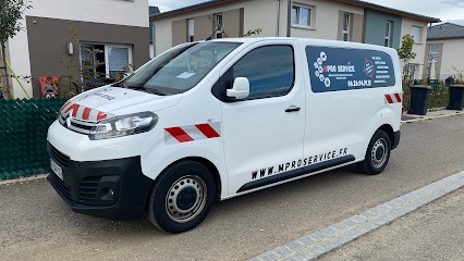 M Pro Service Vosges : Dératisation, Désinsectisation, Dépigeonnage & Désinfection, Désinsectiseur et Dératiseur à Gérardmer