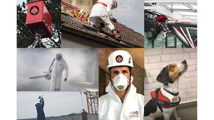 AS DE PIC, Désinsectiseur et Dératiseur à Venelles