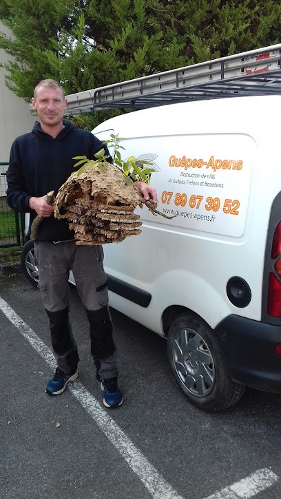 Guêpes-Apens, Désinsectiseur et Dératiseur à Châlons-en-Champagne