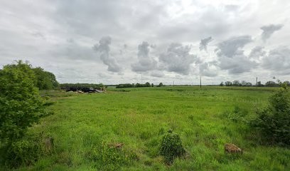 Sain et Sauf, Désinsectiseur et Dératiseur à Savigny-sur-Braye