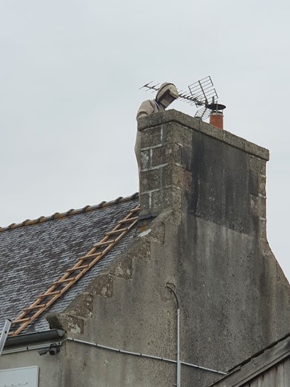 Stop Frelons 29, Désinsectiseur et Dératiseur à Sibiril