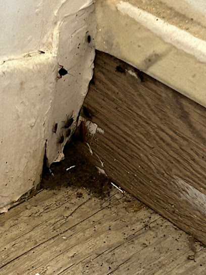 Urgence Nuisibles 13 Désinsectiseur - Dératiseur à Marseille 15